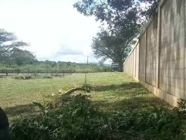 para  en  - 5