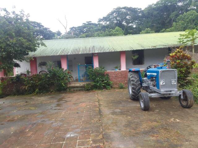 Mini finca para Venta en Bejuma - 4
