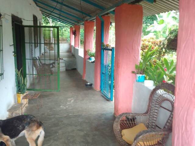 Mini finca para Venta en Bejuma - 2