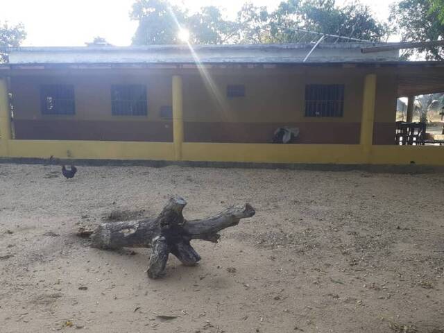  para  en  - 3