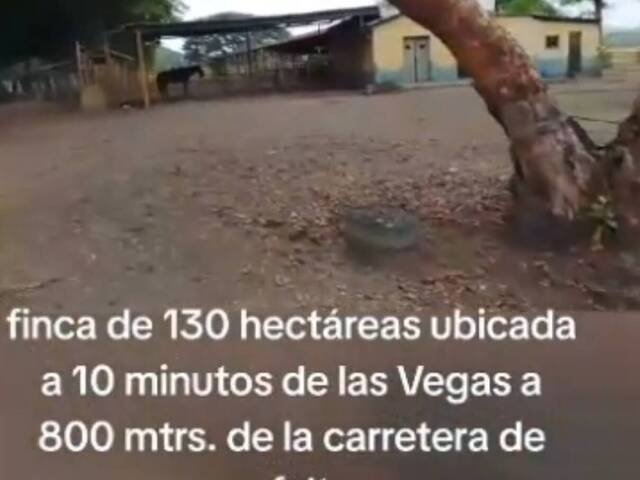  en  - 