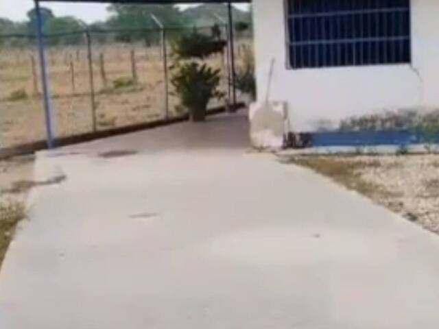  para  en  - 2