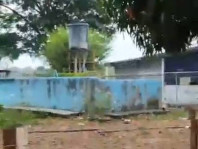  para  en  - 5