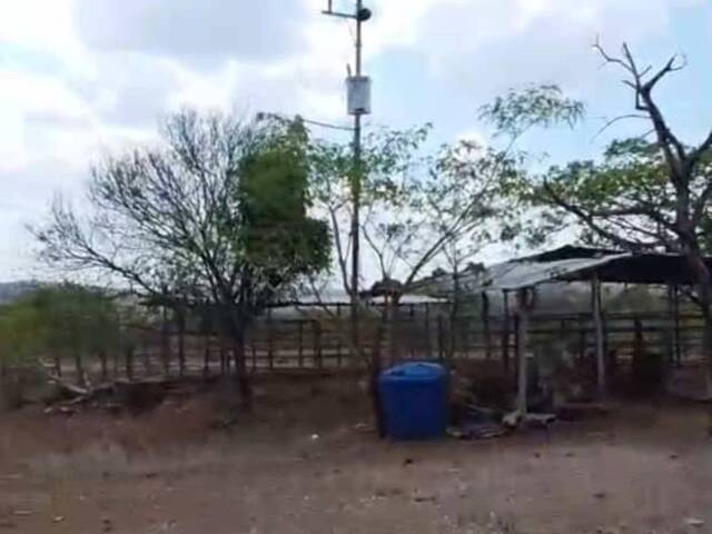  en  - 