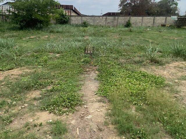 Terreno para Venta en Valencia - 3