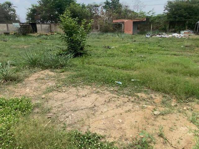 Terreno para Venta en Valencia - 5
