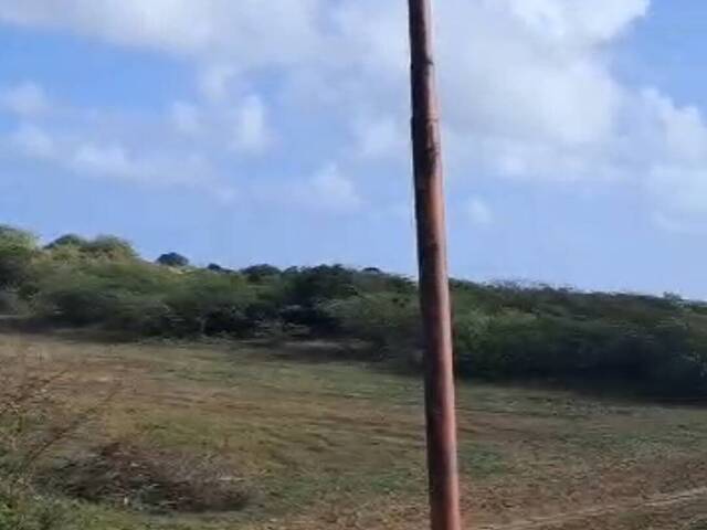  para  en  - 5