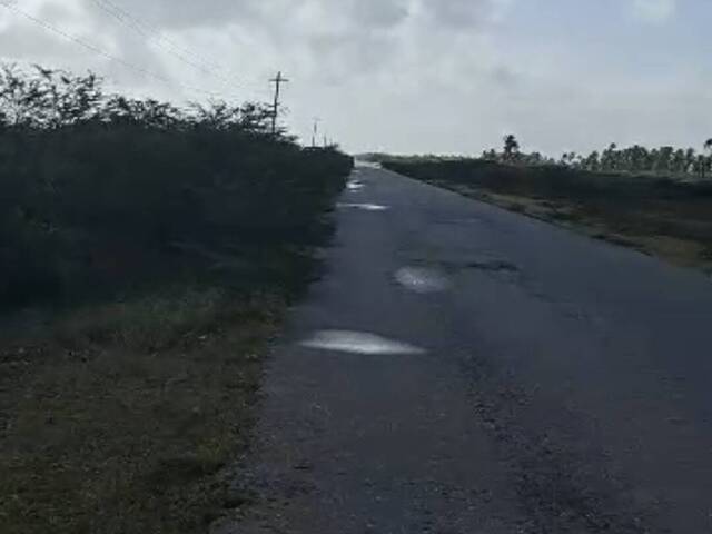  para  en  - 3