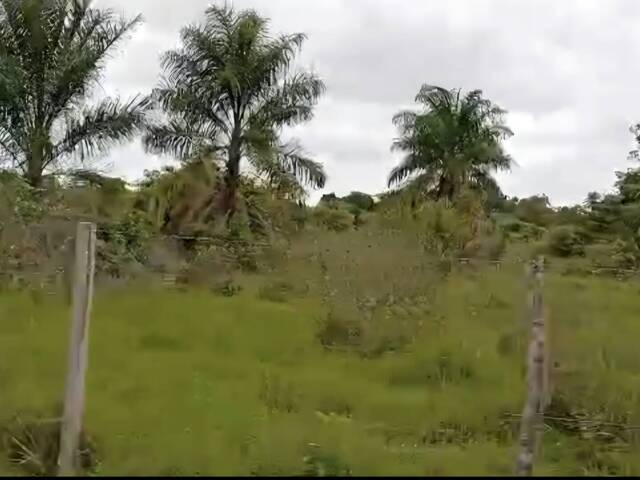  para  en  - 5