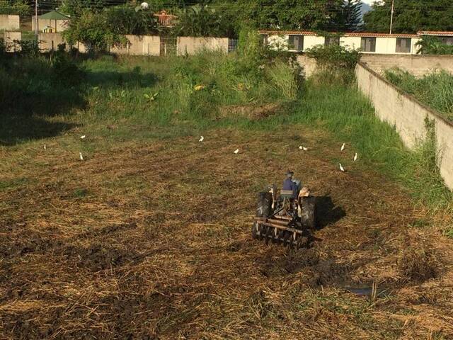 #330750 - mini finca para Venta en Valencia - G - 2
