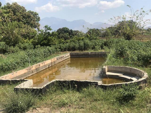 #330750 - mini finca para Venta en Valencia - G - 3