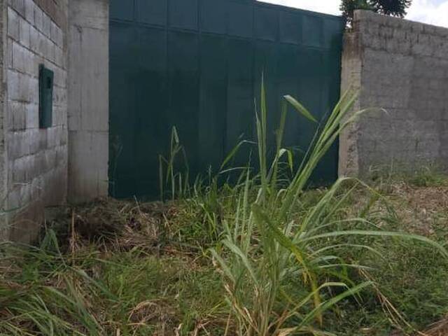 Terreno para Venta en Guacara - 2