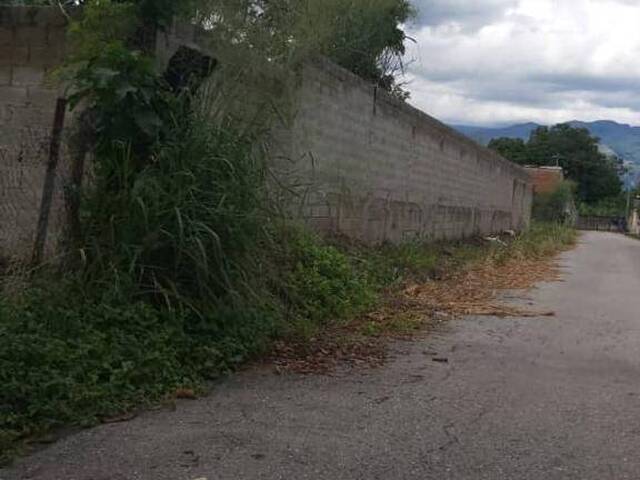 Terreno para Venta en Guacara - 3