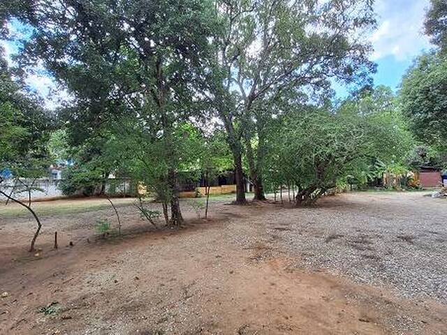 #332400 - Terreno para Venta en Valencia - G - 1