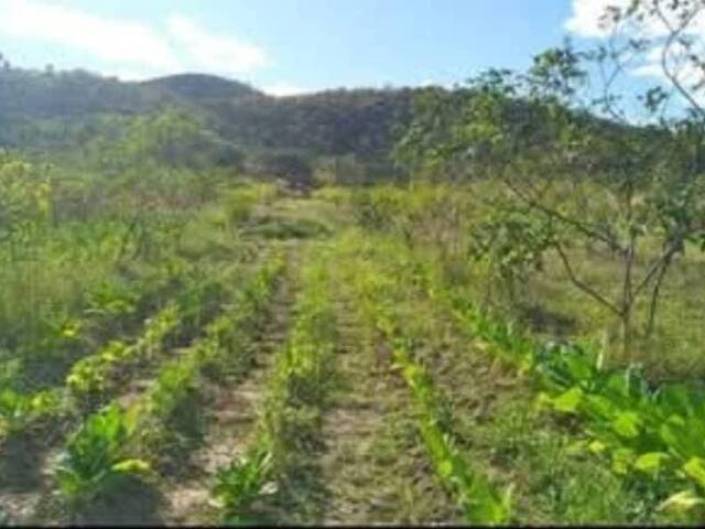 Hacienda / Finca / Granja para Venta en Bejuma - 2