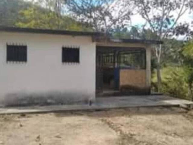 Hacienda / Finca / Granja para Venta en Bejuma - 3