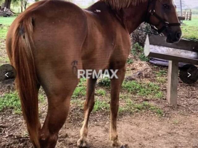 #329287 - Hacienda / Finca / Granja para Venta en Valencia - G - 1