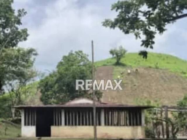  en  - 