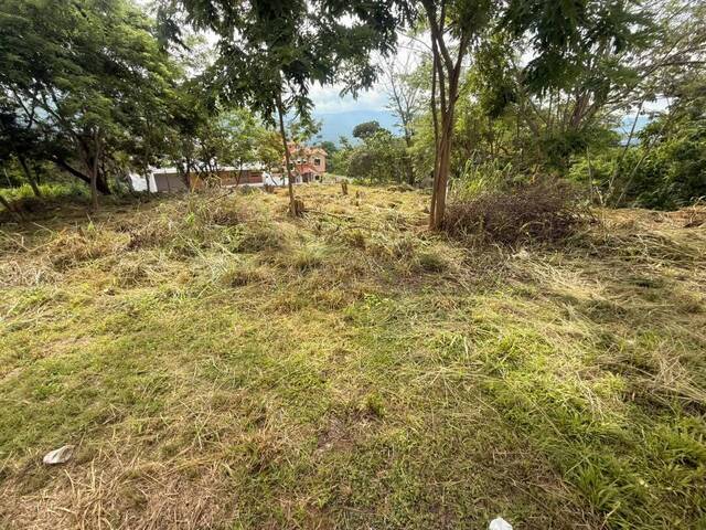 Terreno para Venta en Valencia - 2