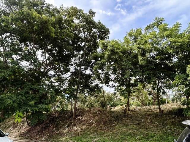 Terreno para Venta en Valencia - 3