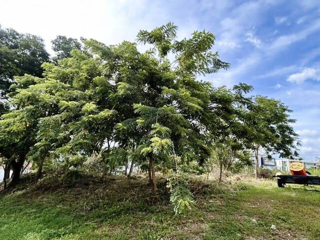 Terreno para Venta en Valencia - 4