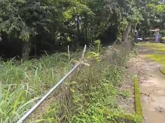 para en - 3