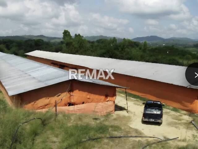 #335228 - Hacienda / Finca / Granja para Venta en Valencia - G - 1