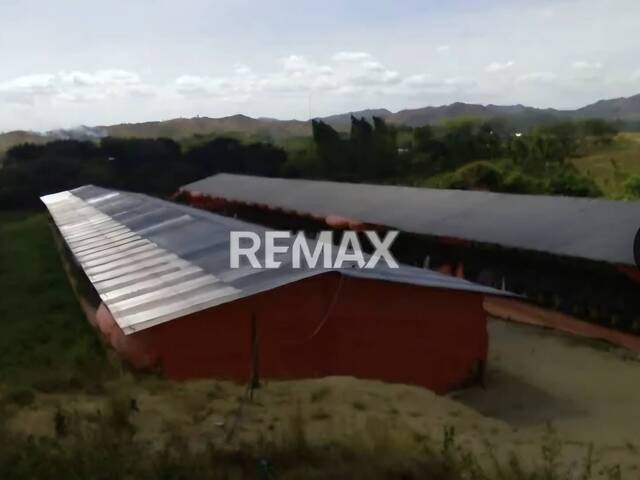 #335228 - Hacienda / Finca / Granja para Venta en Valencia - G - 2