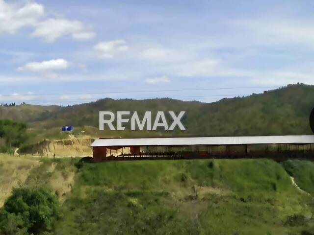#335228 - Hacienda / Finca / Granja para Venta en Valencia - G - 3
