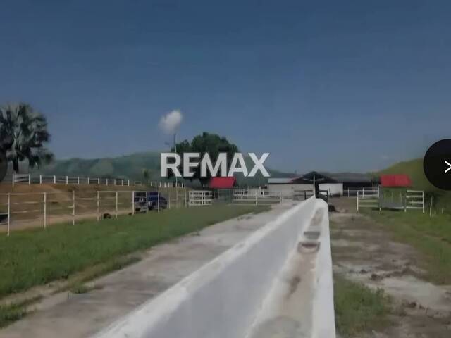 #339245 - Hacienda / Finca / Granja para Venta en Valencia - G - 2