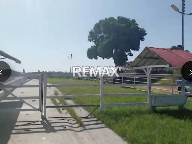 #339245 - Hacienda / Finca / Granja para Venta en Valencia - G - 3