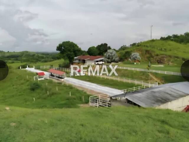 #339245 - Hacienda / Finca / Granja para Venta en Valencia - G - 1