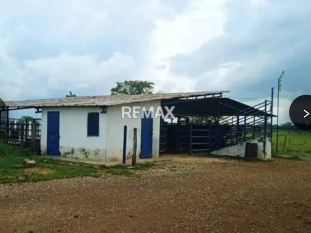 #335198 - Hacienda / Finca / Granja para Venta en Valencia - G - 2