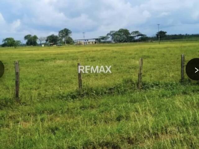 #335198 - Hacienda / Finca / Granja para Venta en Valencia - G - 1