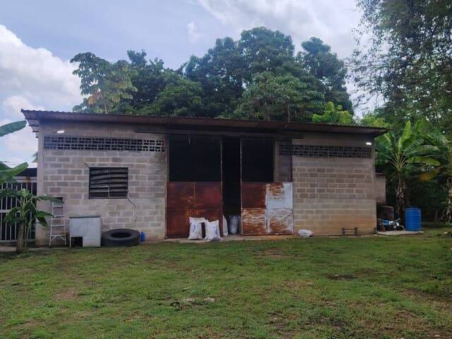 #340870 - Casa para Venta en Tocuyito - G - 3