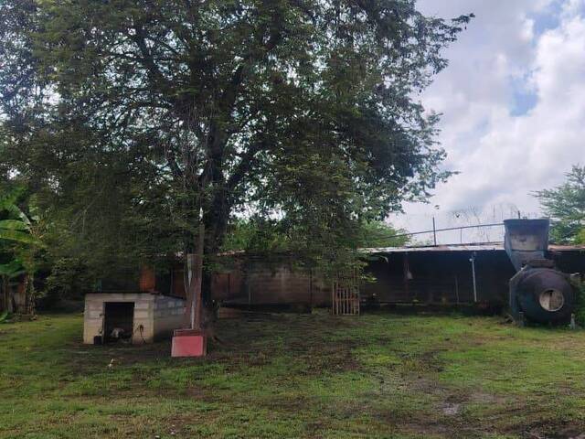 Casa para Venta en Tocuyito - 5