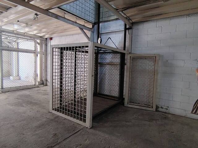 #32322 - Galpón para Alquiler en Valencia - G - 3