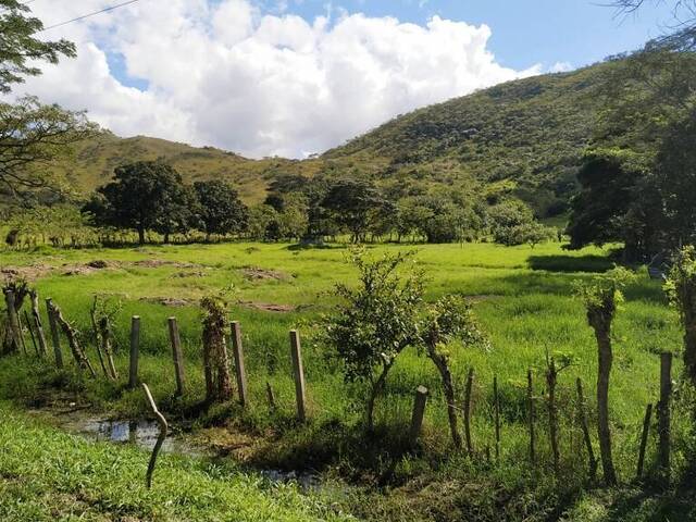 #223522 - Hacienda / Finca / Granja para Venta en Bejuma - G - 1