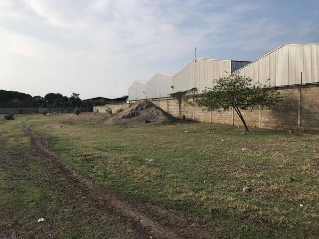 #233604 - Terreno para Venta en Valencia - G