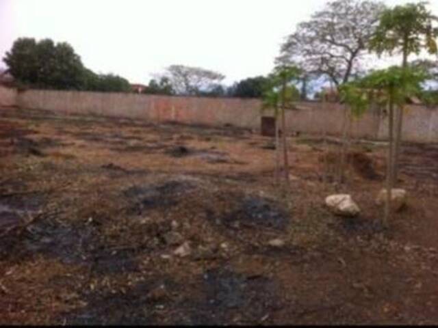 #269376 - mini finca para Venta en Valencia - G