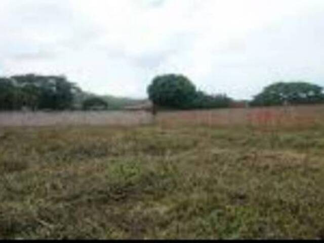 Mini finca para Venta en Valencia - 4