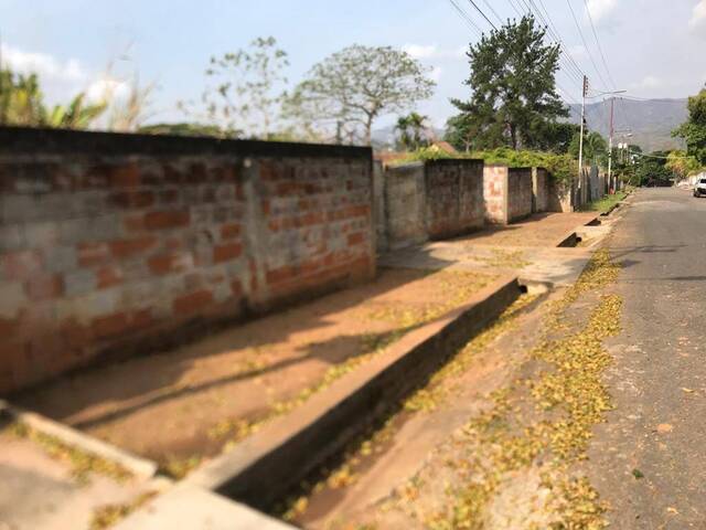 Mini finca para Venta en Valencia - 5
