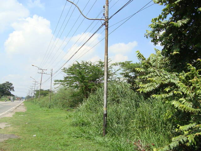 #240431 - Terreno para Venta en Guacara - G