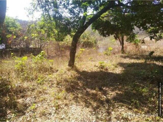 #240370 - Terreno para Venta en San Diego - G
