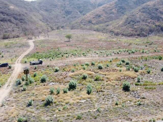#24187 - Terreno para Venta en Guacara - G