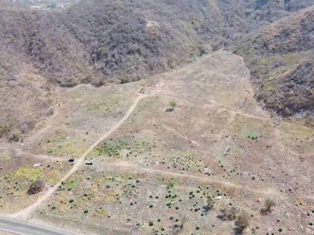 #24187 - Terreno para Venta en Guacara - G