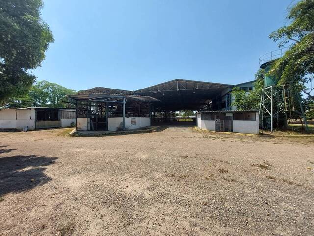 #256252 - Galpón para Venta en San Joaquín - G - 2
