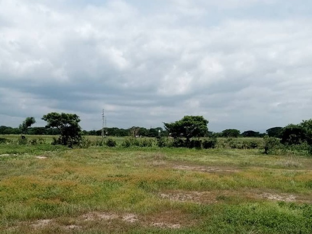 #267429 - Terreno para Venta en Valencia - G