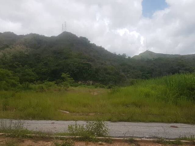 Venta en Jardín Mañongo -  Naguanagua