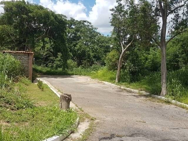 Terreno para Venta en  Naguanagua - 4